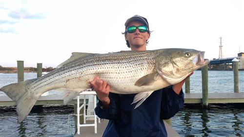 40 lbs! 